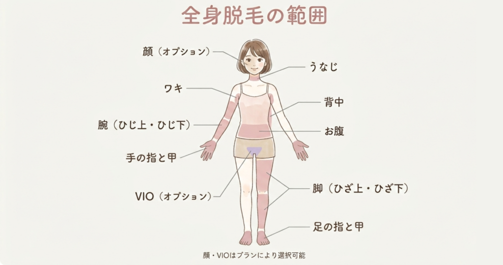 奈良県橿原市から通える脱毛サロンvivio.の全身脱毛パーツ表